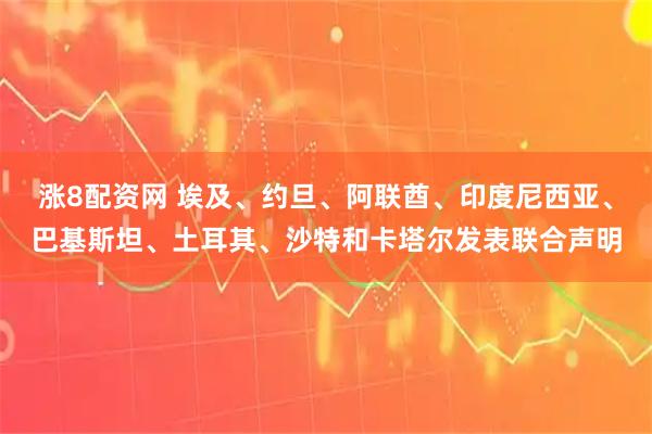 涨8配资网 埃及、约旦、阿联酋、印度尼西亚、巴基斯坦、土耳其、沙特和卡塔尔发表联合声明