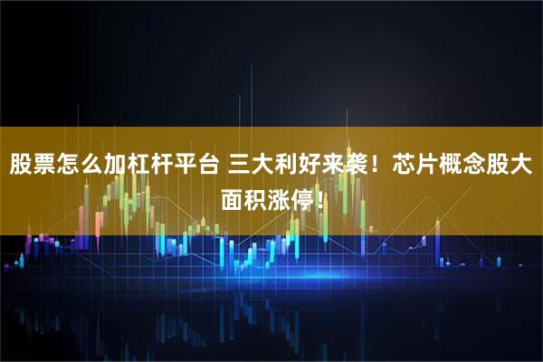 股票怎么加杠杆平台 三大利好来袭！芯片概念股大面积涨停！