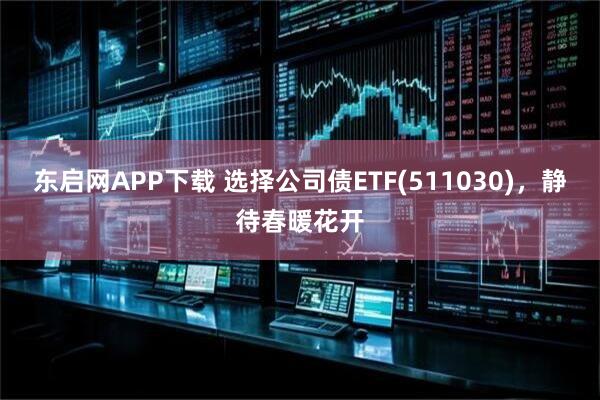 东启网APP下载 选择公司债ETF(511030)，静待春暖花开
