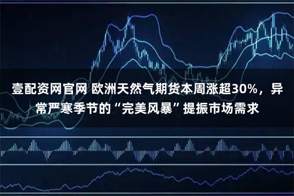 壹配资网官网 欧洲天然气期货本周涨超30%，异常严寒季节的“完美风暴”提振市场需求