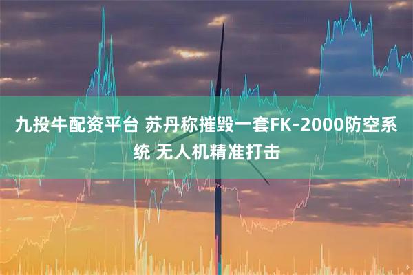 九投牛配资平台 苏丹称摧毁一套FK-2000防空系统 无人机精准打击