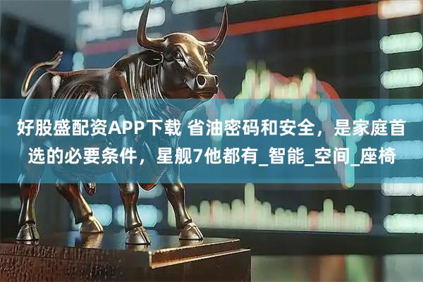 好股盛配资APP下载 省油密码和安全，是家庭首选的必要条件，星舰7他都有_智能_空间_座椅