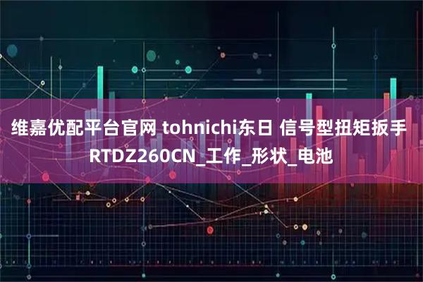 维嘉优配平台官网 tohnichi东日 信号型扭矩扳手 RTDZ260CN_工作_形状_电池